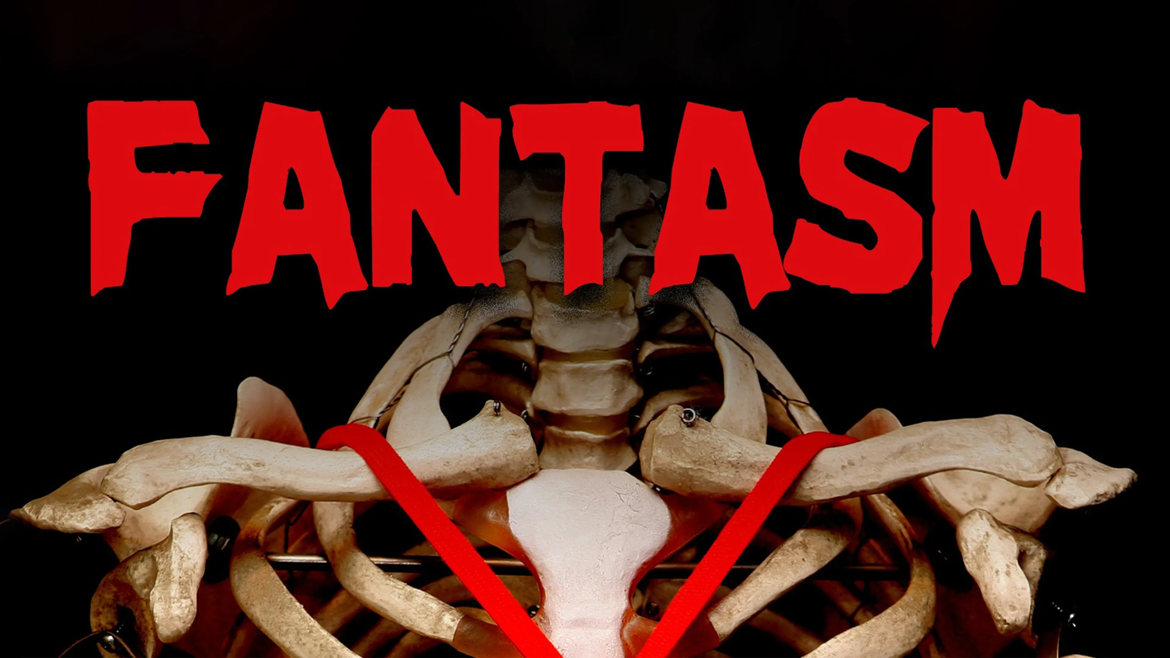 Fantasm poster